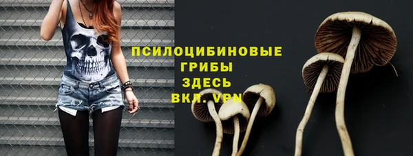 тгк Заводоуковск