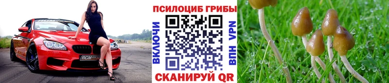 Купить закладки  Кинель  Галлюциногенные грибы Magic Shrooms 